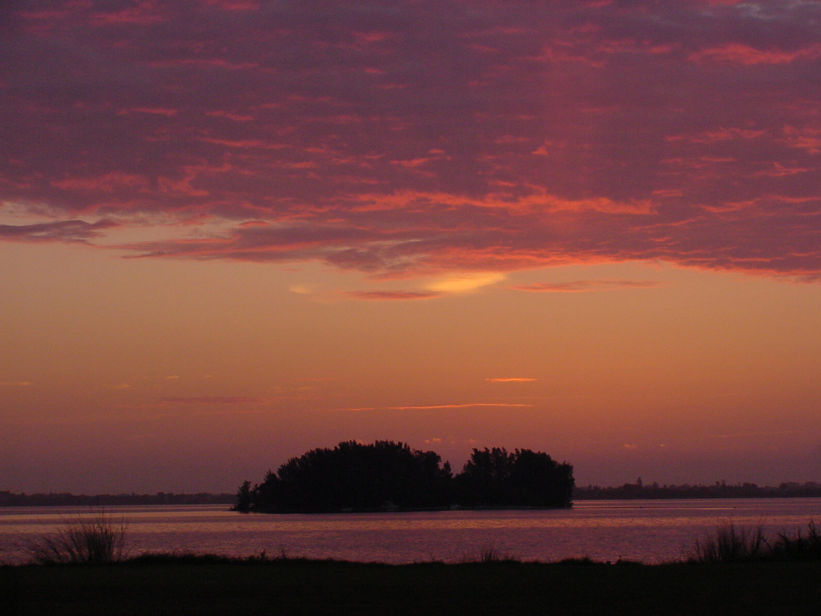Indian River Lagoon near Fort Pierce, Florida, showing calm waters, mangrove shoreline, and the estuary ecosystem